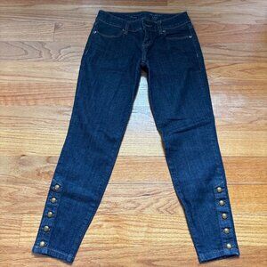 The Limited Dark Blue Wash Skinny Jeans
